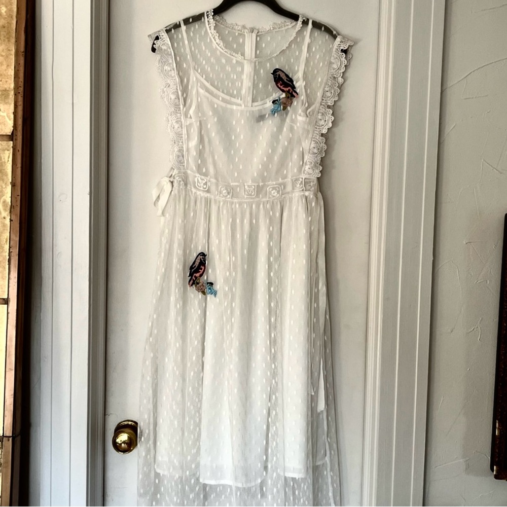 Beautiful Lace Overlay Dress with Embroidered Birds